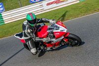 PJ-Motorsport-Photography-2018;enduro-digital-images;event-digital-images;eventdigitalimages;mallory-park;mallory-park-photographs;mallory-park-trackday;mallory-park-trackday-photographs;no-limits-trackdays;peter-wileman-photography;racing-digital-images;trackday-digital-images;trackday-photos